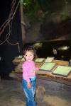 100_3031.JPG