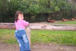 100_3054.JPG
