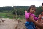 100_3063.JPG
