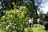 100_4184.JPG
